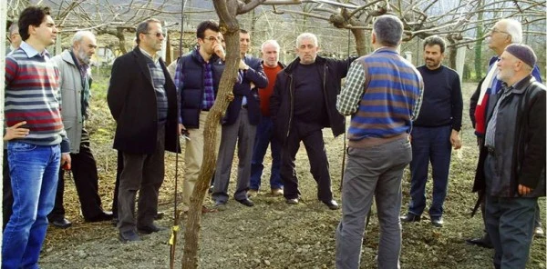 İl Gıda Tarım ve Hayvancılık Müdürlüğü Sapancada Kivi Üreticilerine Eğitim Verdi