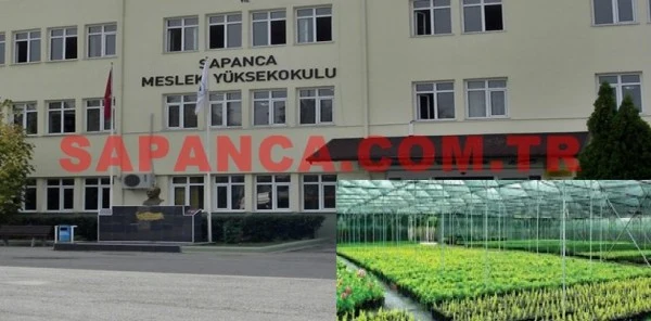 Süs Bitkiciliğinde Marka Olduk