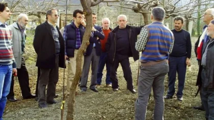 İl Gıda Tarım ve Hayvancılık Müdürlüğü Sapancada Kivi Üreticilerine Eğitim Verdi