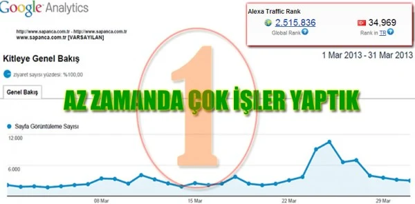 Sapanca.com.tr Kuruluşunun İlk Ayında 1. Sıraya Oturdu