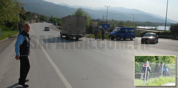 Sapanca Tem'e İnek Kaçtı, Zabıta ve Jandarma Alarma Geçti