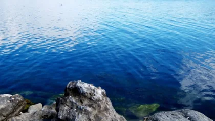 Sapanca Gölü'nün Su Seviyesi Yükseldi