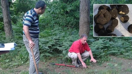 ABD'li Akademisyenler Sapanca'da Ne Arıyor ?