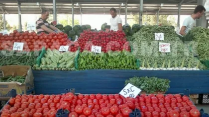 Sapanca Cuma Pazarı 31 Mayıs Tarihli Sebze ve Meyve Fiyatları