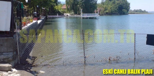 Bu Yanlışa Kim Dur Diyecek ?