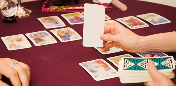 Sapanca'da ki Festivalde Stant Açan Tarotçuya Polisten Gözaltı Geldi