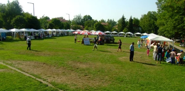 Sapanca 'El Sanatları Festivali' Başlıyor