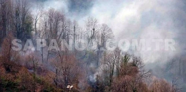 Sapanca Hacımecan Köyünde Orman Yangını Çıktı