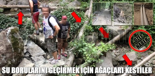 Su Borularını Geçirmek için Ormanı Bu Hale Getirdiler