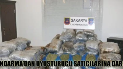 Sakarya Jandarma'dan Uyuşturucu Satıcılarına Darbe