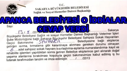 Sapanca Belediyesi Sokak Köpekleri ile İlgili Çıkan Haberlere Açıklık Getirdi