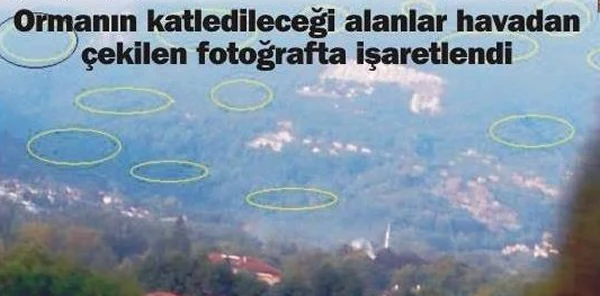 ''Yeşil Cinayet''