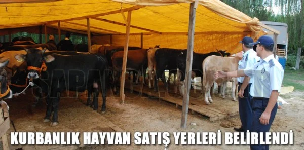 Sapanca'da Kurbanlık Hayvan Satış ve Kesim Yerleri Belirlendi