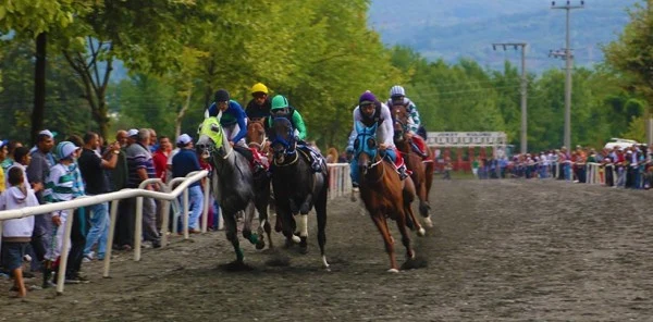 Sapanca Yaz Şenlikleri Mahalli At Yarışları Sona Erdi