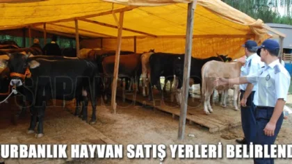 Sapanca'da Kurbanlık Hayvan Satış ve Kesim Yerleri Belirlendi