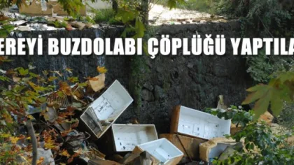 Dereyi Buzdolabı Çöplüğü Yaptılar