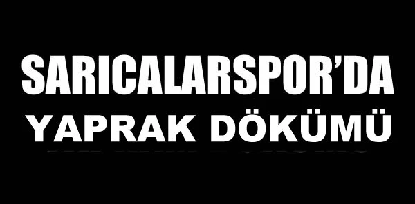 Akademispor'un Rakibinde Yaprak Dökümü