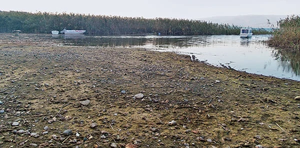Sapanca'ya Kara Haber Dipten Geldi