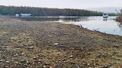 Sapanca'ya Kara Haber Dipten Geldi