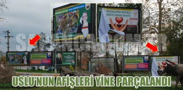 Uslu'nun Afişlerini Yine Parçaladılar
