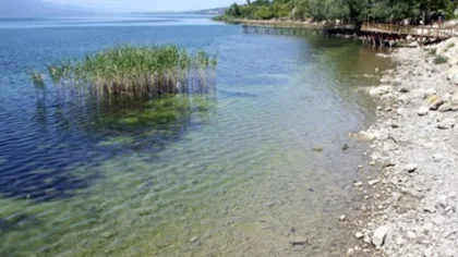 Büyükakten: Lastik Parçaları Sapanca Gölü'ne Karışıyor