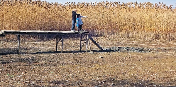 Sapanca Gölü'nün Ölümüne 50 Santimetre Kaldı