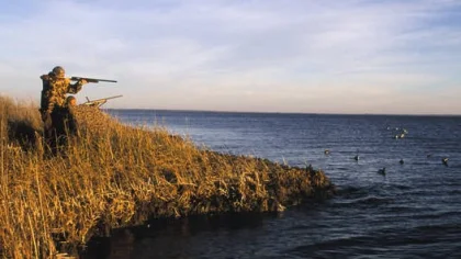CHP'den ''Sapanca'da Kuş Avlanmasın'' Teklifi
