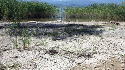 Matur 'Sapanca Gölü' için AK Parti'ye Yüklendi ve 'Yazıklar Olsun' Dedi