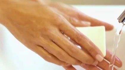 Sapanca'da Hijyen Eğitimi Kursu Açılıyor