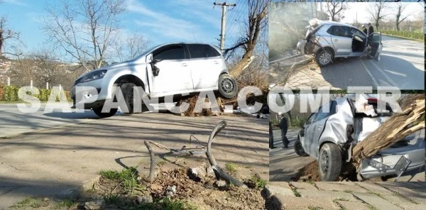 Otomobil Ağaca Çıktı: 1 Yaralı