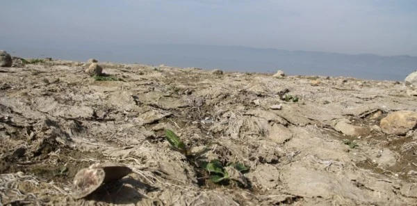 Sapanca Gölü Hiç Bu kadar Çekilmemişti