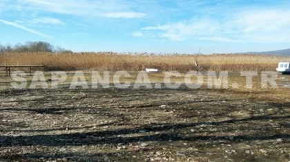 Sapanca Gölü'ne Bir Ortak Daha Çıktı