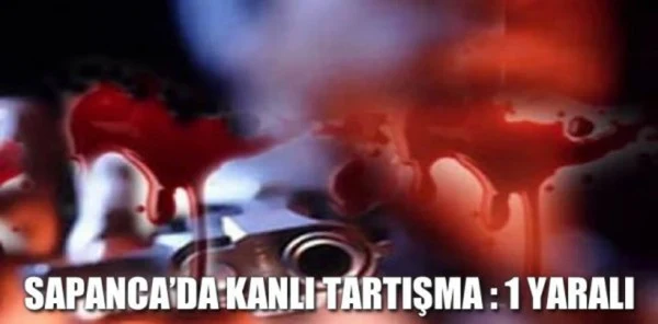 Kestanelik'te Silahlar Konuştu: 1 Yaralı