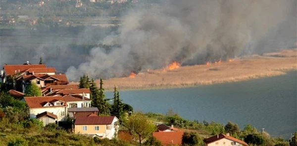 Sapanca Gölü Kenarında Yanan Sazlıklar Eski Haline Dönecek