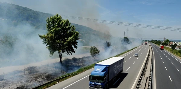 Karayolunda Ot Temizleme Çalışmaları