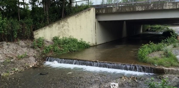 Sapanca Gölü Yağışlarla Beraber 9 Santimetre Yükseldi