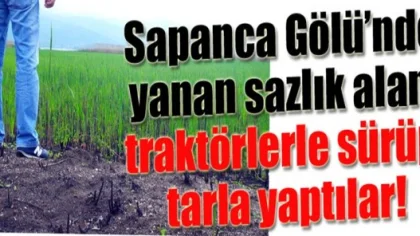 Sapanca Gölü Kenarında Yanan Sazlıkları Tarla Yapıp Sürdüler