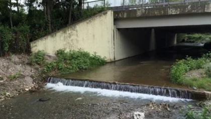 Sapanca Gölü Yağışlarla Beraber 9 Santimetre Yükseldi