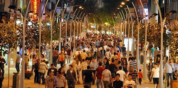 Sapanca 2013 Yılında Bin 455 Göç Aldı