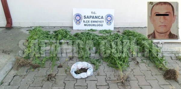 Sapanca'da Uyuşturucu Operasyonu: 1 Gözaltı