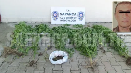Sapanca'da Uyuşturucu Operasyonu: 1 Gözaltı