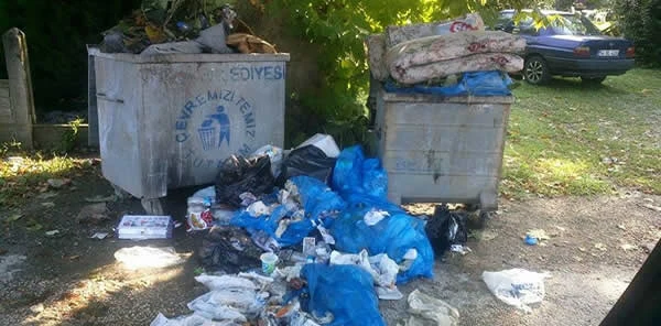 Sapanca'da Çöp Sorunu Büyüyor