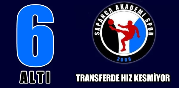 Sapanca Akademispor'dan Altyapıya 6 Transfer Birden Geldi