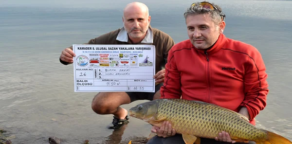 Yarışmanın İkinci Gününde 11,5 Kilogram Ağırlığında Sazan Balığı Yakalandı