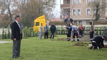 Sapanca Buhara Camisinin Etrafında Düzenleme Yaptıldı