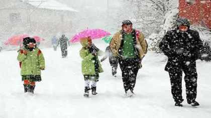Sapanca İlçesinde Etkili Olan Kar Yağışı Nedeniyle Okullar Tatil Edildi