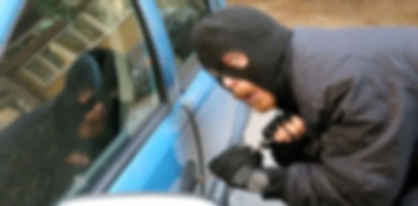Sapanca'da Hırsızlık İddiası