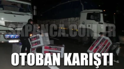 Tem'de Rüzgarlı Gece Ortalık Karıştı!
