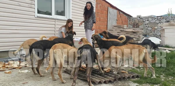 Bütün Mücadelesi Aç Kalmamaları için