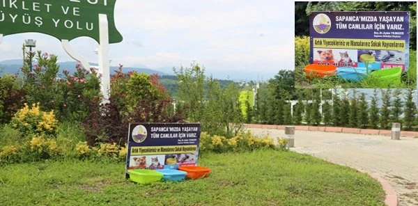 Sapanca'da Sokak Hayvanları için Su ve Yemek Kapları Yerleştirildi
